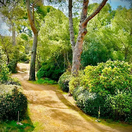 Maison De Maitre Dans La Nature Bessan Exterior photo